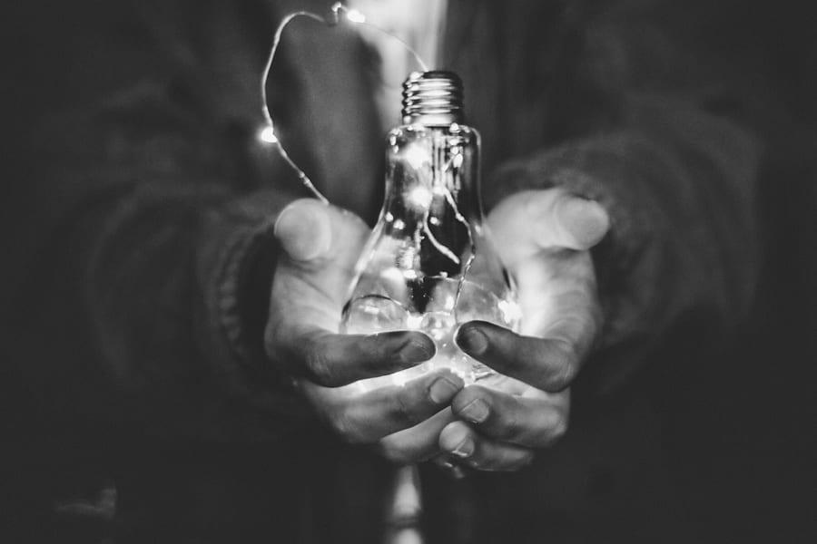 How Intrapreneurship Accelerates Organizations: 4 Case Studies